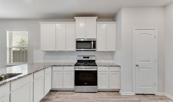 2004 Penaflor Dr, Anna, TX 75409