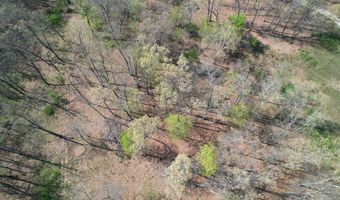 Tract 4 0000 Private Road 1184, Aurora, MO 65605