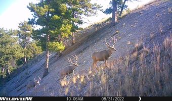 00 Olde English, Casper, WY 82646