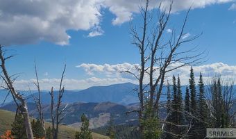 5 Homestead Trl, Challis, ID 83226