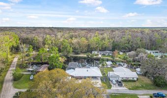 1511 RIVEREDGE Ct, Astor, FL 32102