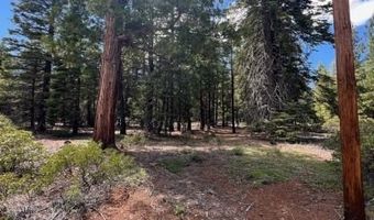 Reno Rd, Alturas, CA 96101