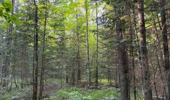 County Road Y, Aniwa, WI 54408