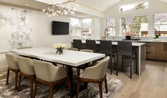 704 E Hyman Ave, Aspen, CO 81611