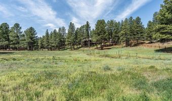 699 Beaver Creek Dr, Bayfield, CO 81122