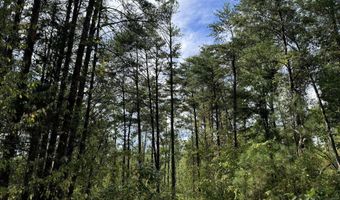 08 Adams, Bankston, AL 35542