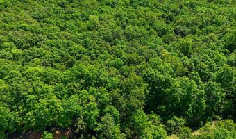 County Road 101, Alton, MO 65606