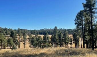 Lot D County Road N2147, Alpine, AZ 85920