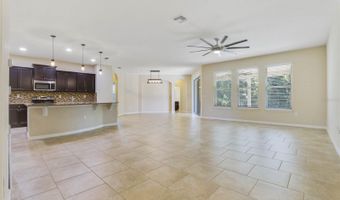 1087 ROCK CREEK St, Apopka, FL 32712