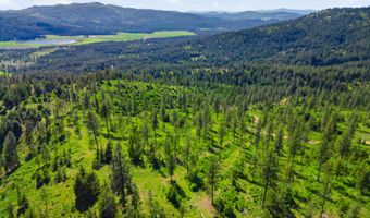 NNA Stone Rd Lot 5 20.0 Acres, Blanchard, ID 83804