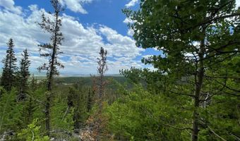 847 County Road 787, Alma, CO 80420