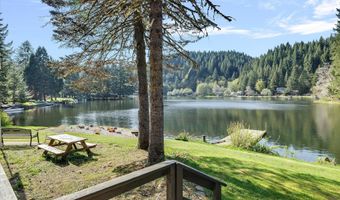 9965 BEACH Dr, Birkenfeld, OR 97016