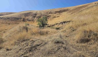 Tbd Garfield St, Asotin, WA 99402