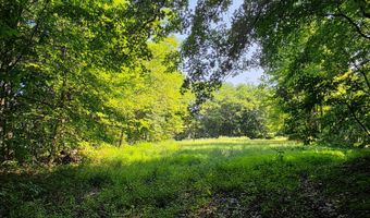 11128 Coleman Rd, Bennington, IN 47011