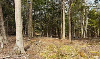 TM 413 L 99 King Road, Alexandria, NH 03222