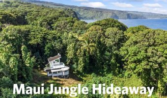 1155 Lower Nahiku Rd, Hana, HI 96753