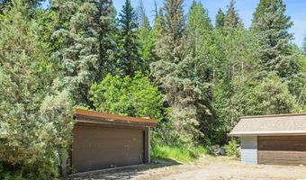 820 Twining Flats Rd, Aspen, CO 81611