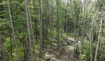 738 Four Mile Rd, Allegany, NY 14706