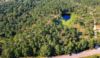 6355 Cobbham Rd, Appling, GA 30802