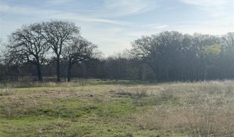 330 Rolling Ranch Blvd, Alvord, TX 76225