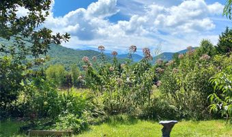 3 Taproot Trl, Barnardsville, NC 28709