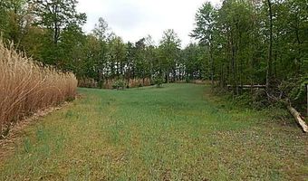 15252 27 Mile Rd, Albion, MI 49224