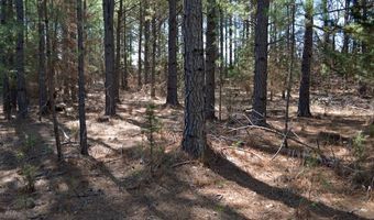 415229 N Hall Rd, Antlers, OK 74523