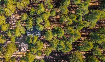 343 Deer Trail Ln, Bayfield, CO 81122