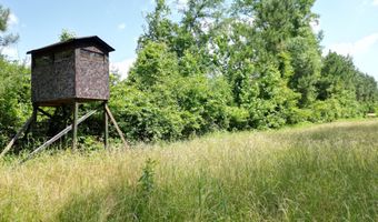 Co Rd 2337, Bay Springs, MS 39422