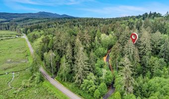 Ziak-Gnat Creek Ln, Astoria, OR 97103