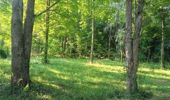 6168 Twitchell Rd, Andover, OH 44003