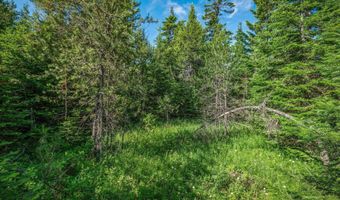 Lot 10 E Riley Loop, Athol, ID 83801