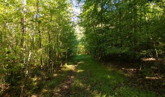 501 Caldwell Rd, Blacksburg, SC 29702