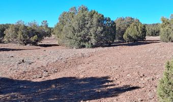 N8715, Concho, AZ 85924