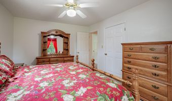 1520 Ripley Island Rd, Afton, TN 37616