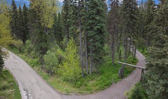 22585 Fatty Creek Rd, Bigfork, MT 59911