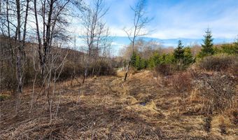 Quigg Hollow Road, Andover, NY 14806