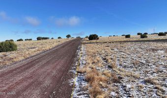 102 County Road 5105, Concho, AZ 85924