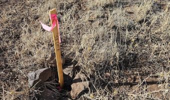 N Picacho Butte Drive, Ash Fork, AZ 86320