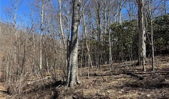 Lot # 70 Tall Tree Lane, Banner Elk, NC 28604