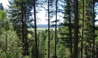L1 B2 San Ignacio Way lot 1, Cascade, ID 83611