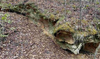 34655 Co Rd 49, Beaverton, AL 35544