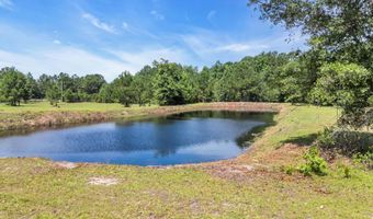 602 Alligator Rd, Andrews, SC 29510