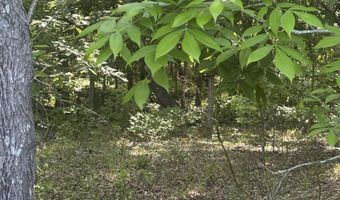 3551 Moonlight Rd, Barnwell, SC 29853