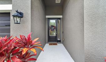 7020 OLD BENTON Dr, Apollo Beach, FL 33572