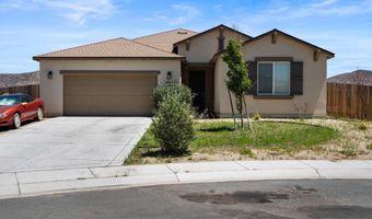 164 Snake Rd, Dayton, NV 89403