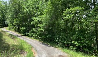 230 Harmony Vly, Alto, GA 30510