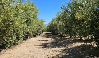 43175 Brownie St, Aguanga, CA 92536