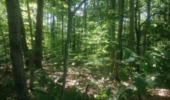 72-1 Frohock Brook Rd, Alton, NH 03810