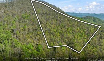21 Reillys Bluff Rd 1, Barnardsville, NC 28709